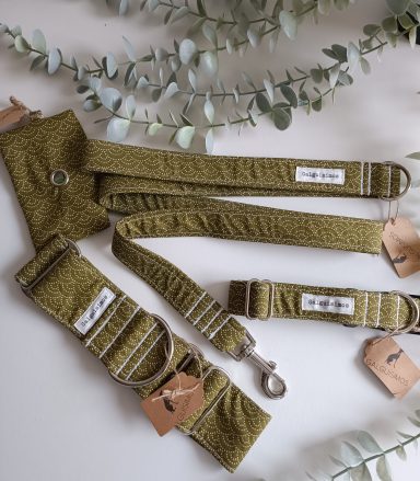 Arnes y correa de color verde oliva para mascotas, con etiquetas de identificación.