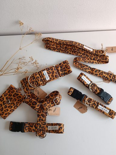 Collares y correas de leopardo para mascotas, acompañados de etiquetas.