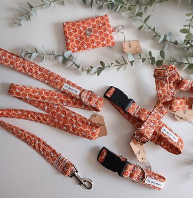 Conjunto de accesorios para mascotas en tonos naranjas, incluyendo correas y arneses.